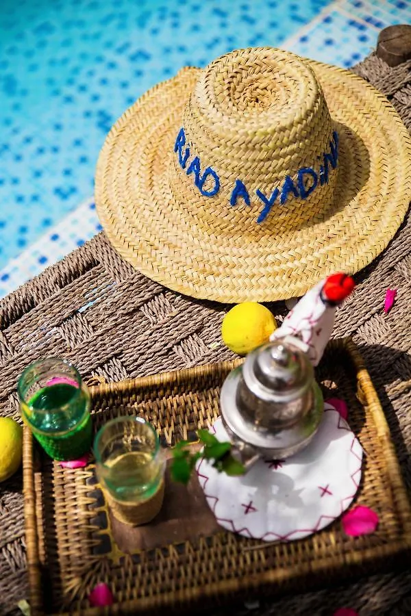 Riad Ayadina & Spa مراكش 5*,
